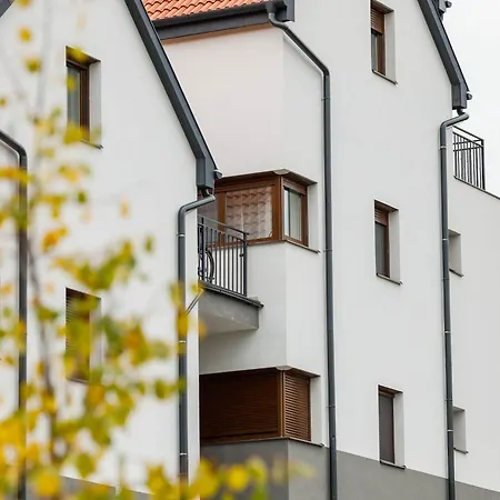 Szepvoelgyi 埃格尔